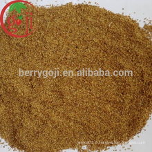 Graines de Goji Berry pour la plantation / NQ-01 / NQ-07 / NQ-09 Graines de Goji